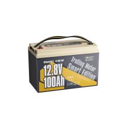 Фото 1 Аккумулятор с Bluetooth Power Queen LiFePO4 P12V100-100-LTP-BT-4-A100 12.8 В, 100 А·ч
