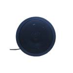 Фото Гучномовець 20АСК100ПП-2