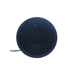 Фото 1 Гучномовець 20АСК100ПП-2