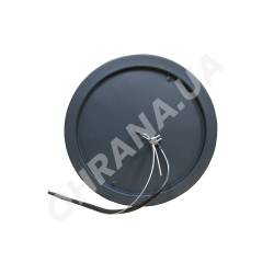 Фото 3 Гучномовець 20АСК100ПП-2